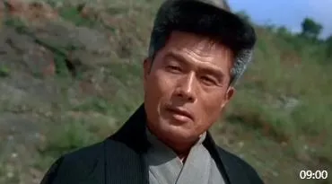青之芦苇