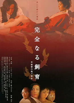 哥伦布怪圈